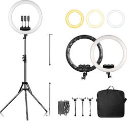 Ring Ring Light 45.72cm 6151128617602