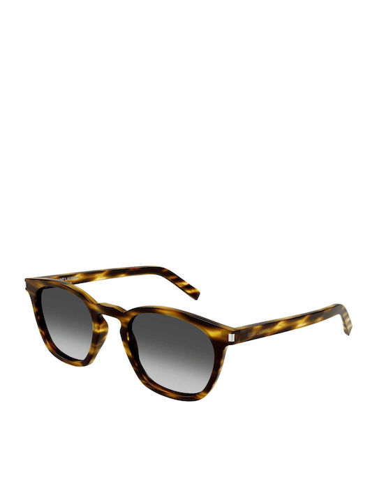 Ysl Unisex Sunglasses with Brown Tartaruga Plas...