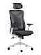 Pakketo Stuhl Exekutive mit Neigung und Verstellbaren Armen Andrew 275-000016 Charcoal