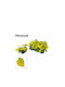 Philodendron Lime