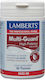 Lamberts Multi-Guard Vitamin für Energie, Unterstützung des Immunsystems, die Haare, die Haut, die Nägel & Antioxidans 90 Registerkarten