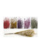 Lover Grass 80cm 0516175 Purple