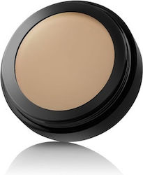 Paese Concealer No60 Golden