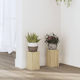 vidaXL Pflanzenständer Holz Beige 10cmx10cmx18c...