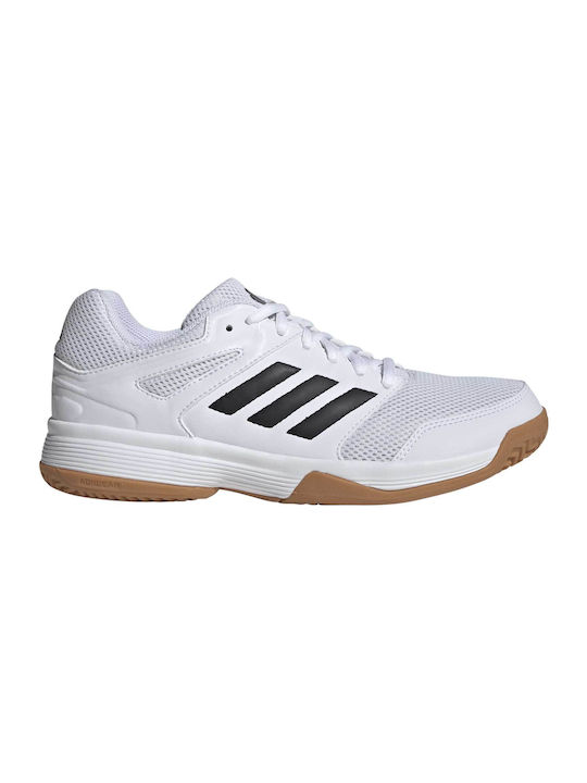adidas Speedcourt Volleyball White