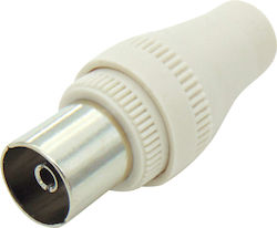 JYC Plug Coaxial female Whitr (JY4258)