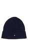 Beanie Beanie Knitted in Blue color