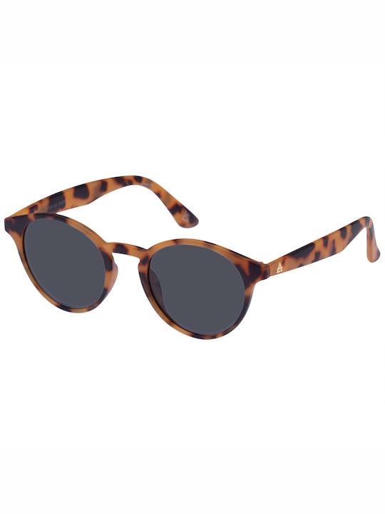 Aire Sunglasses with Brown Tartaruga Plastic Frame AIR2122521