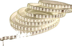 Led Strip High Safety High Brightness 20m