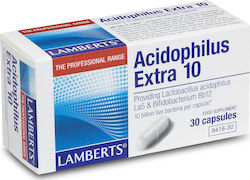 Lamberts Acidophilus Extra 10 Probiotic Supplem...