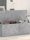 vidaXL Wooden Decorative Trunk Gray 102x35x35cm