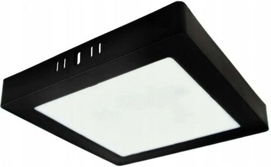 Eco Light LED Flutlicht 18W Natürliches Weiß 4000K mit Bewegungssensor