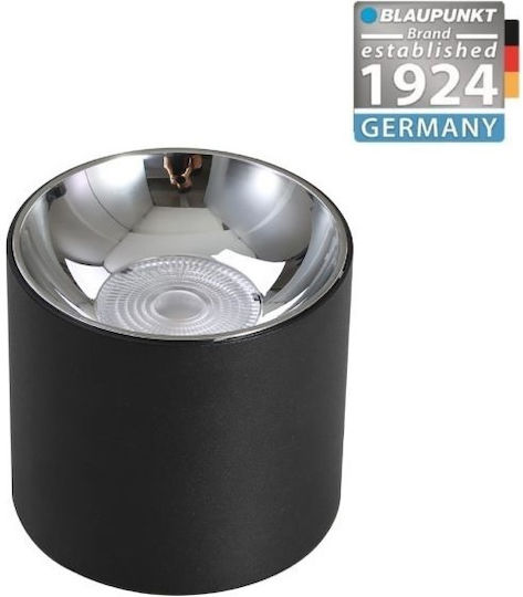 Greenie Einzel LED Natürliches Weiß Spot in Schwarz Farbe