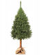 Christmas Green Tree with Trunk Base H180pcs