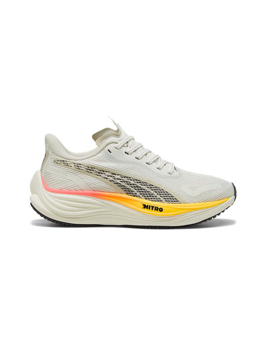 Puma Sport Shoes Running Multicolour