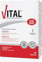 Vit'All+ Q10 Multivitamin 40mg 14 caps