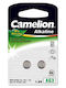 Camelion Ag3 Lr41 Lr736 392 Alkaline Buttoncell 2 Pc S