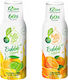 Fruttamax Lemonade Concentrated Non-Carbonated in Box Z01455 2x500ml