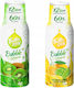 Fruttamax Lemonade Concentrated Non-Carbonated in Glass Bottle Z01483 2x500ml