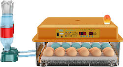 Mașină de incubat ouă 36 Translate to Romanian the following specification unit for an e-commerce site in the category 'Egg Incubators'. ouă