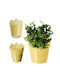Kadax Flower Pot 14.5cm Colors