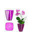 Kadax Orchid Pot Cover Plastic Flower Planter 12cm Purple