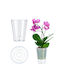 Kadax Orchid Pot Cover Transparent 12cm