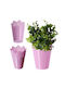 Kadax Flower Pot Cover 12cm Colors