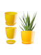 Kadax Flower Pot Cover Yellow 16cm