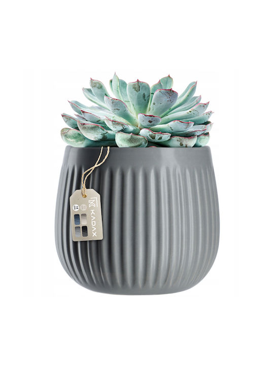 Kadax Ceramic Pot 14cm Gray Planter