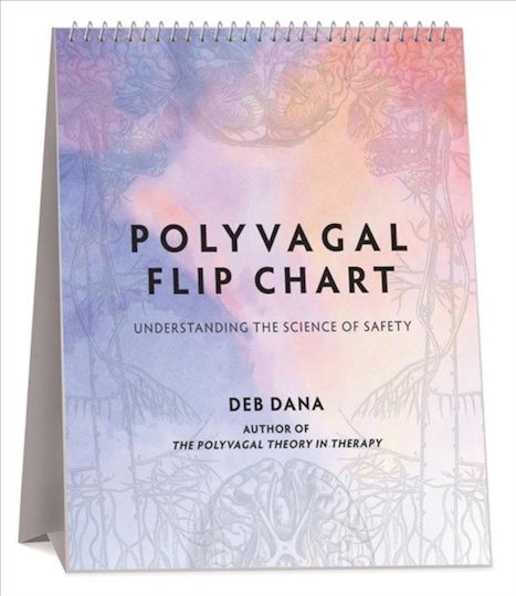 Polyvagal Flip Chart Spiral Bound
