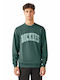 Dickies Sweatshirt Green