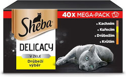 Sheba Wet Food for Adult Cat with Poultry Without Gluten 40x85gr