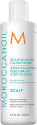 Moroccanoil Scalp Balancing Moroccanoil Scalp Balancing