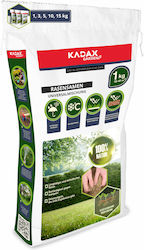 Kadax Seeds 1.0kg Green