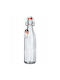 Kadax Flasche Wasser Glas mit Clip Transparent 750ml