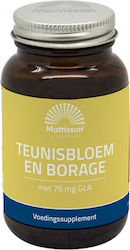Mattisson Primrose & Borage Oil 75мг 60 софтджел