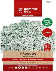 Gemma Seeds Alyssum Dwarf White 12524