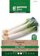 Gemma Giant Leek 12765