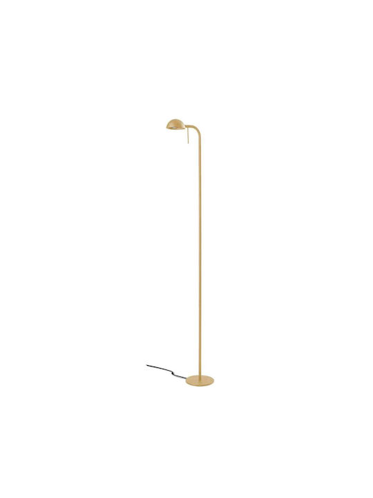 Luma Floor Lamp H140xW30cm. with Socket for Bul...