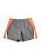 Vanuatu Men's Swimwear Shorts Gray