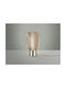 Table Decorative Lamp LED Silver