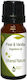 Nature & Body Αρωματικό Έλαιο Βανίλιας 10ml
