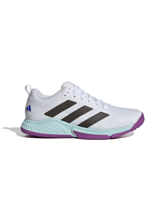 Adidas Court Team Bounce 2.0 Sport Shoes Volleyball White / Sea Blue / Purple