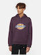Sweatshirt with Hood Plum
