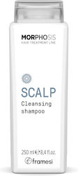 Framesi Morphosis Scalp Cleansing 250ml Framesi Morphosis Scalp Cleansing 250ml