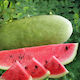 Seeds Watermelon 1gr