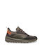 Geox Sneakers Grey / Black