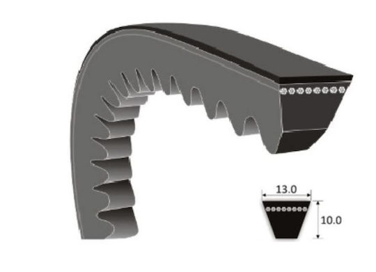 Conti 12.5 1050 Xpa 1032 Car Engine Belt