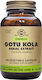 Solgar Standardized Gotu Kola Aerial Extract 10...
